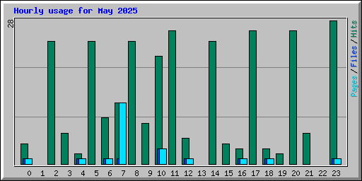 Hourly usage for May 2025