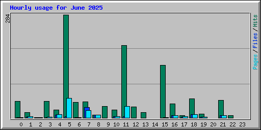 Hourly usage for June 2025