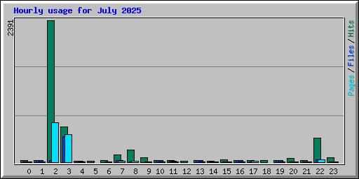 Hourly usage for July 2025