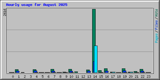 Hourly usage for August 2025
