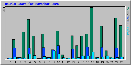 Hourly usage for November 2025