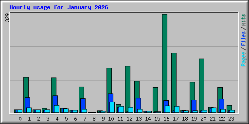 Hourly usage for January 2026